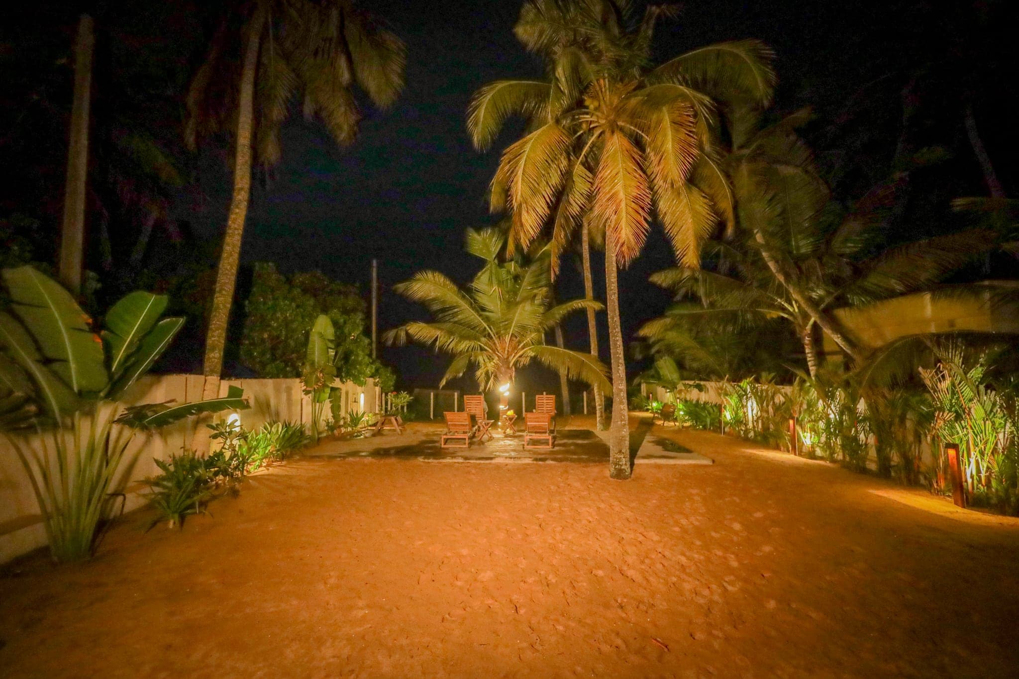 Lamp-lit coconut-grove garden at dusk at Heyday by the Sea, a beach cottage near Veli, Thiruvananthapuram, Kerala
