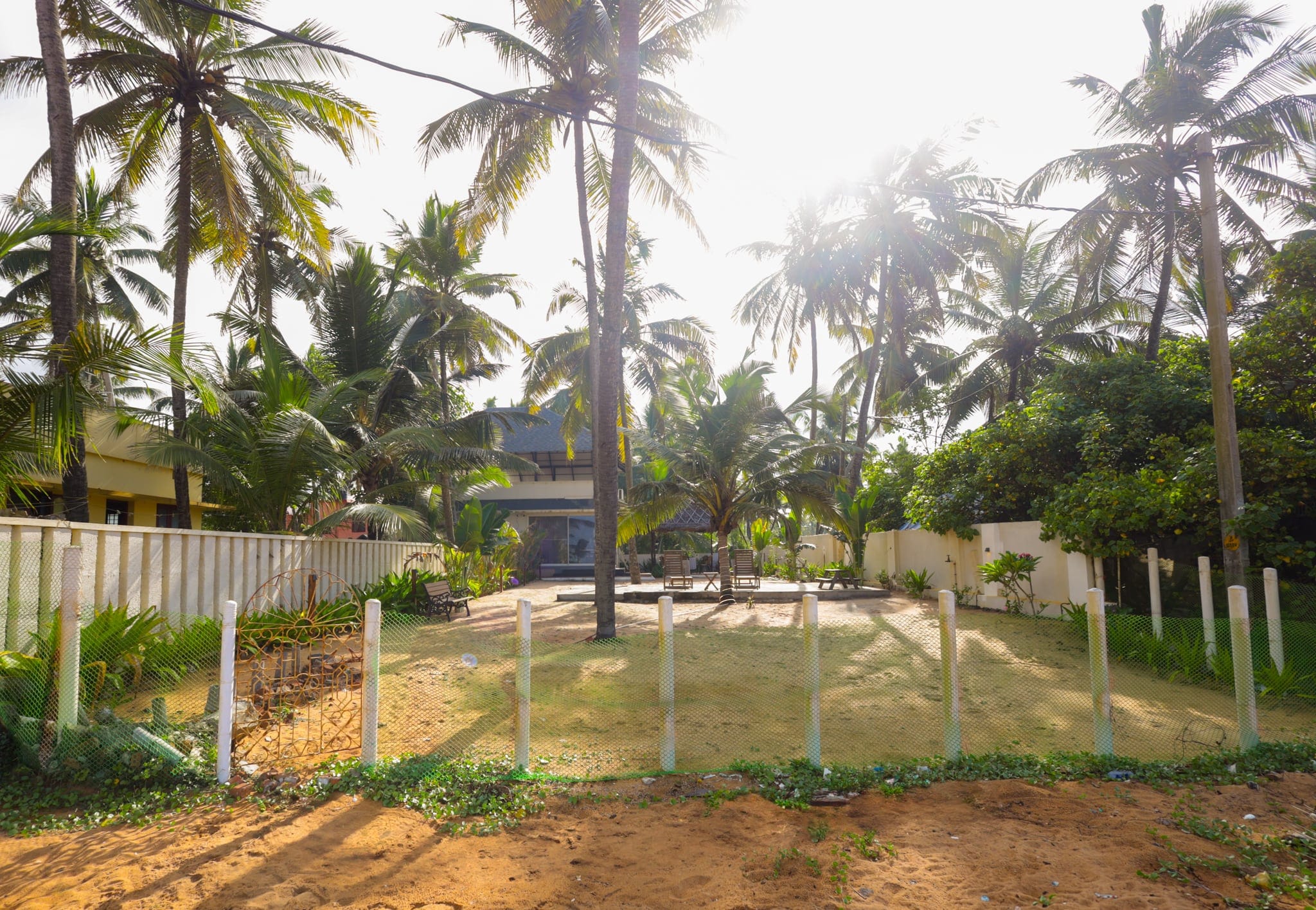 Garden path beneath the coconut palms at Heyday by the Sea, Veli, Thiruvananthapuram, Kerala