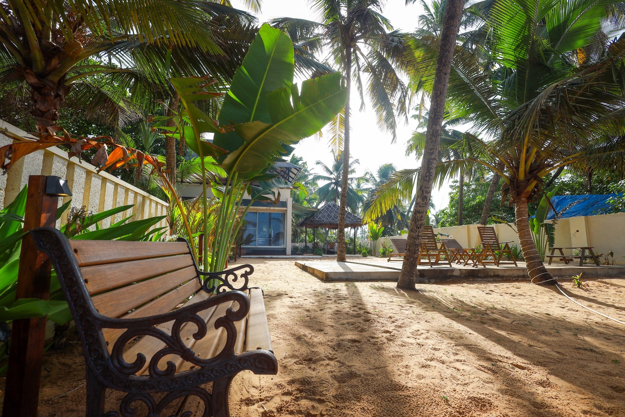Garden bench beneath the palms at Heyday by the Sea, Veli, Thiruvananthapuram, Kerala